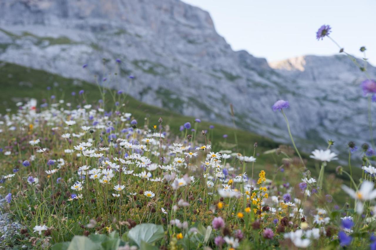 Hotel Berghaus Sulzfluh Sankt Antönien Zewnętrze zdjęcie